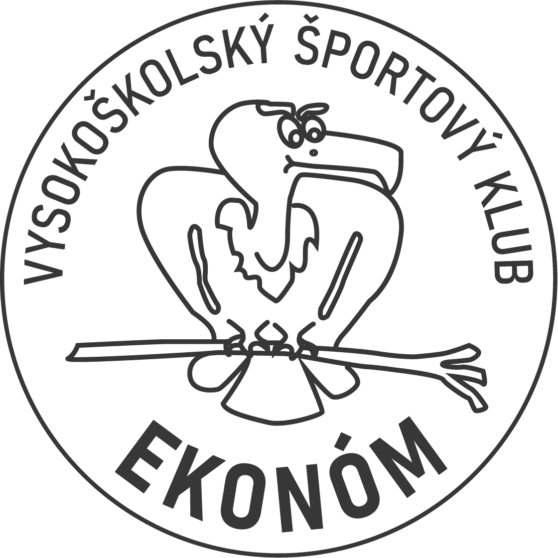 vsk ekonom logo