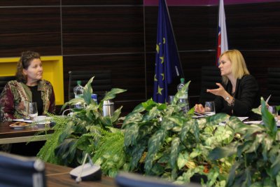 Cynthia Carr – expertka Fulbrightovej komisie