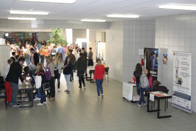 Kariérna cesta 2013