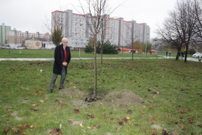 Strom Zdenky Kanisovej