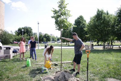 Prvý Strom kariéry zasadilo 9 absolventov odboru aktuárstvo z Fakulty hospodárskej informatiky