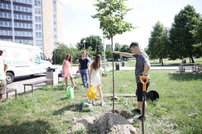 Prvý Strom kariéry zasadilo 9 absolventov odboru aktuárstvo z Fakulty hospodárskej informatiky