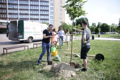 Prvý Strom kariéry zasadilo 9 absolventov odboru aktuárstvo z Fakulty hospodárskej informatiky