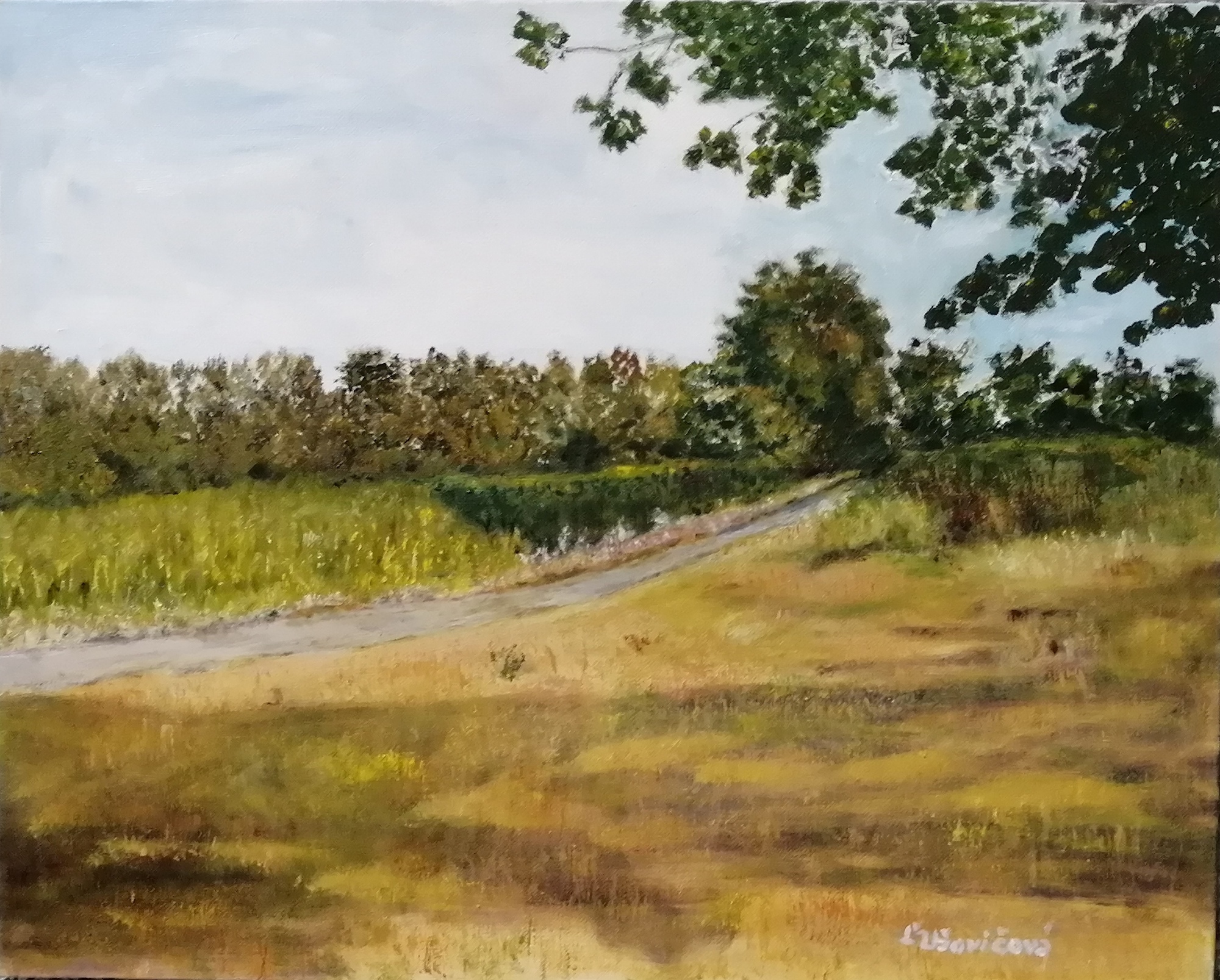 fieldpath oil on artis canvas laminated 50 x 40 cm